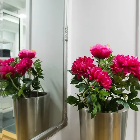 Trzaska Duplex Urban Apartmán *